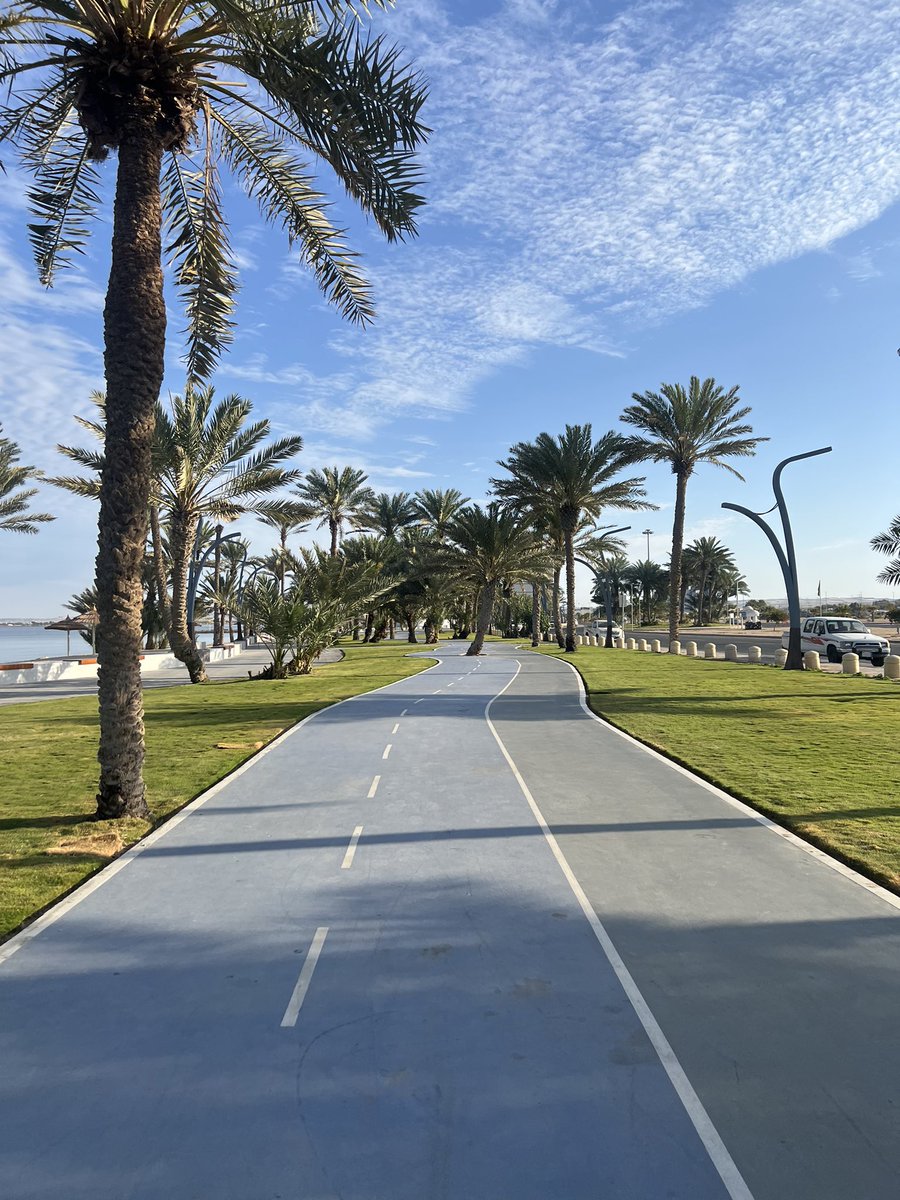 chimgur's tweet image. 🪄