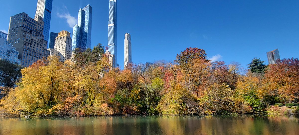 lipiroy's tweet photo. Perfect day running through fall foliage in Central Park 😊🍁🍃

What's your favorite autumn activity? https://t.co/P5Kj1XJ4WM