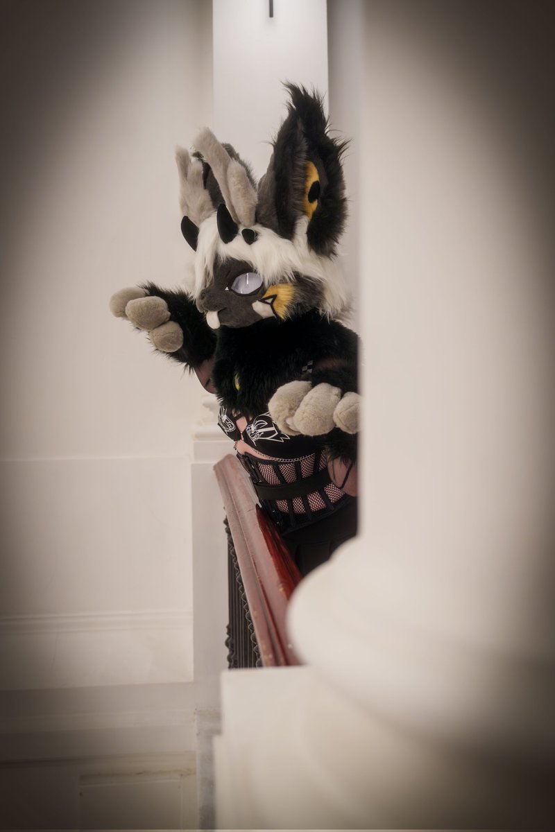 Love this picture of Ghost Tomb sm 👻🪦

📸: <a href="/TechWolfPhotos/">TechWolfPhotografur</a>