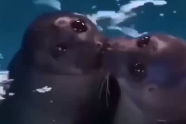 Me & Who? (@tagyourwho) on Twitter photo 