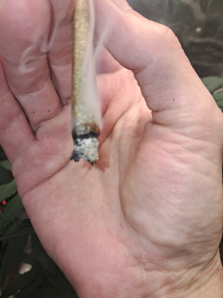 Smoking on some Forbidden Jelly from <a href="/InhouseGenetics/">Inhouse Genetics</a> this is a great anytime smoke it helps me with my anxiety and nausea alot