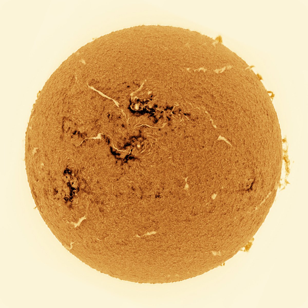 Hydrogen-alpha image of the Sun on Nov 8, 2025.