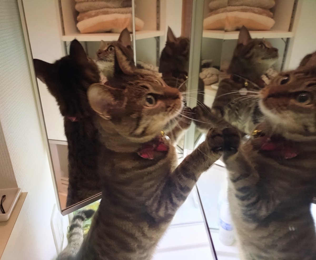 みぃ (@Js4zeKqmJxbnVBS) / Posts / X