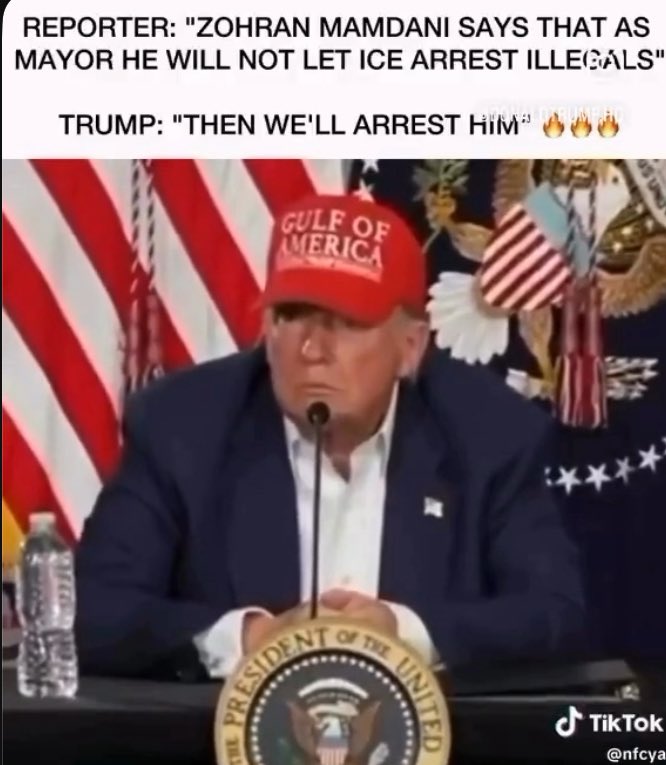 🇺🇸 Tramps: ja Ņujorkas mērs traucēs nelegāļu deportācijām, tad mēs viņu arestēsim.