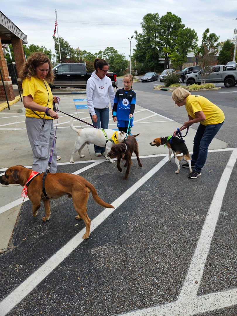 Our team – and pets – love heading out into the community! We recently made a stop by Germantown Hardware, where we had the opportunity to meet several new friends. 🐾❤️