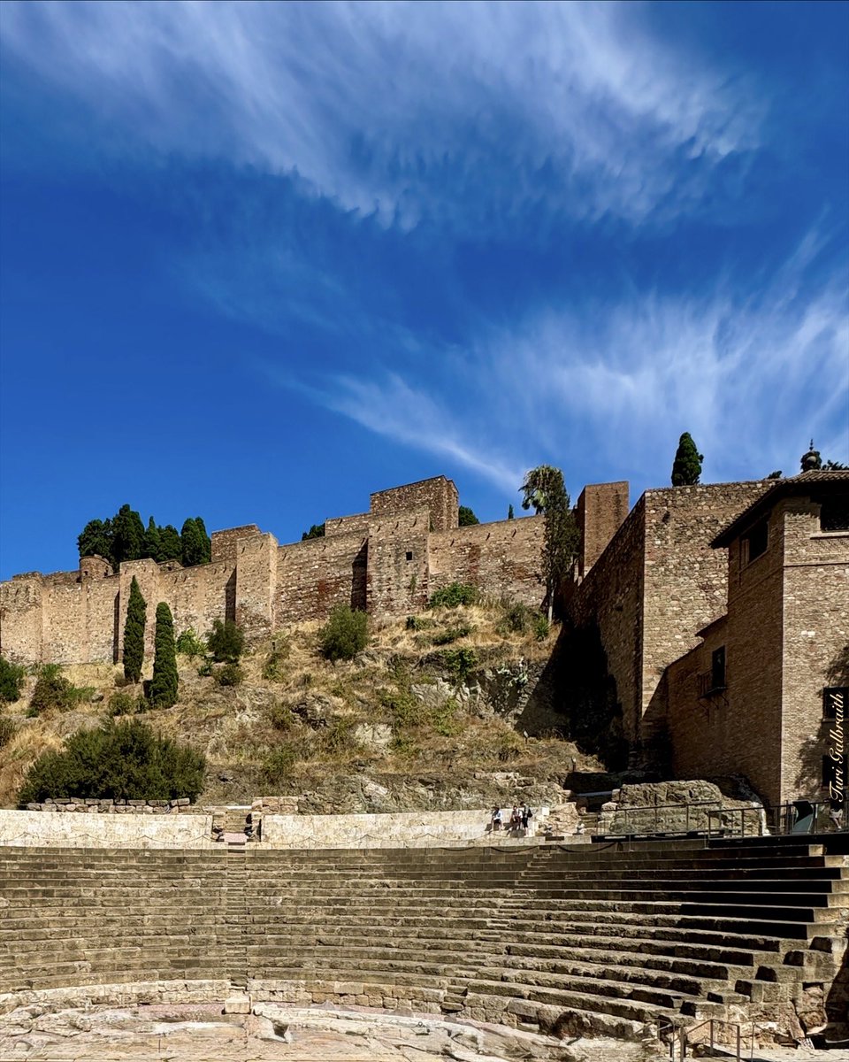 Turi Galbraith tweet media