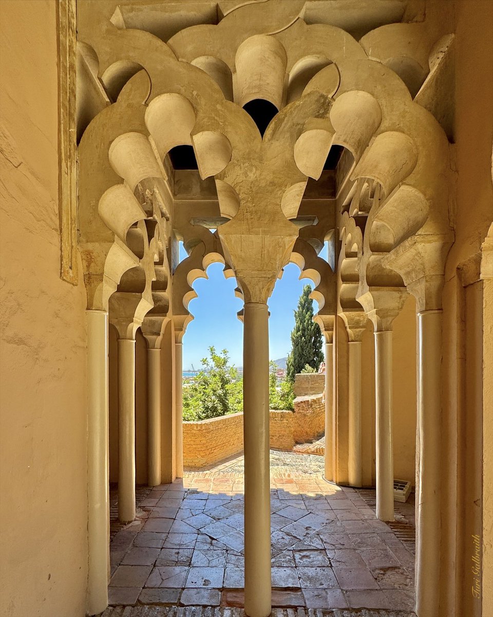 Turi Galbraith tweet media