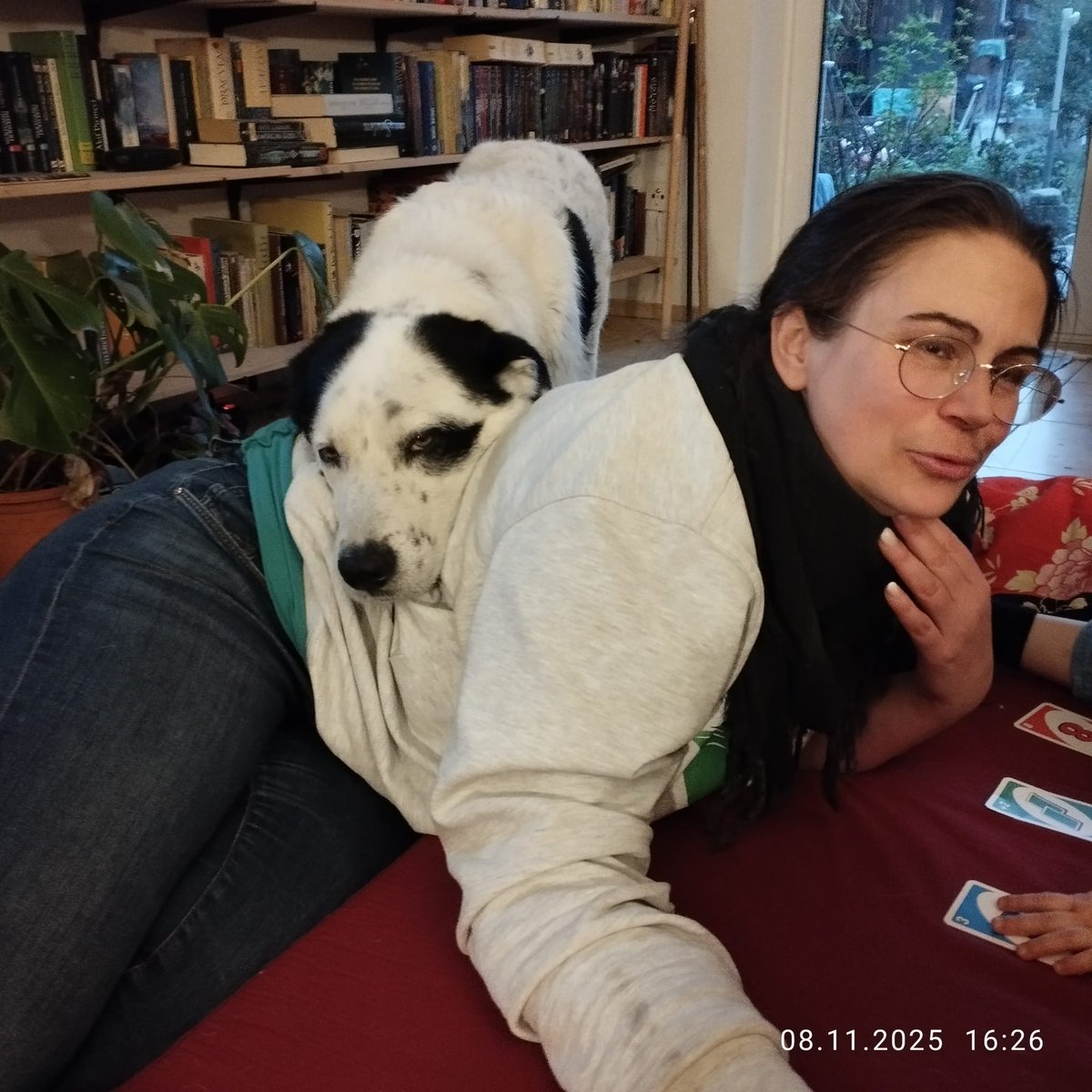 Lupo heute und vor 8 Jahren und 1 Tag. Gestern hatten wir Gotcha-Day