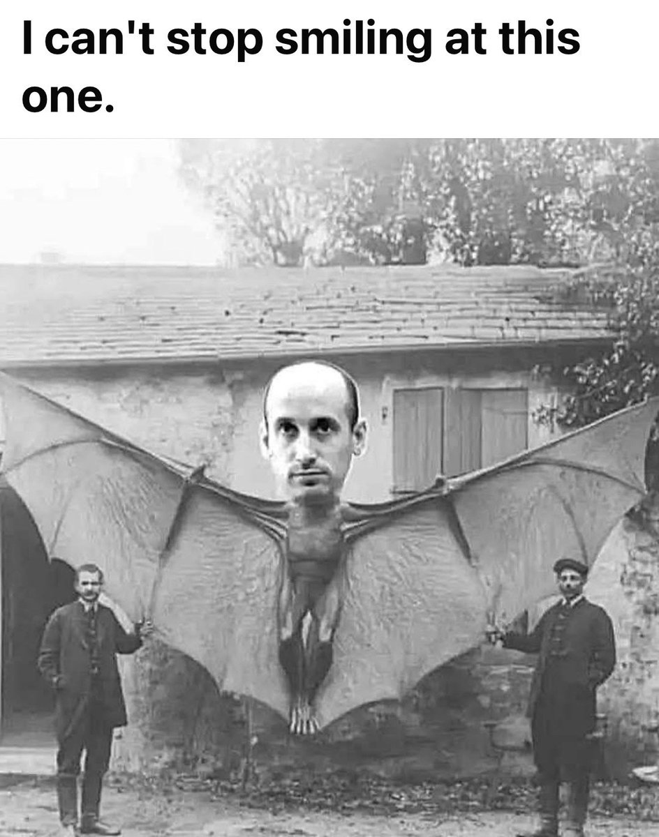 mariewalsh18's tweet image. 