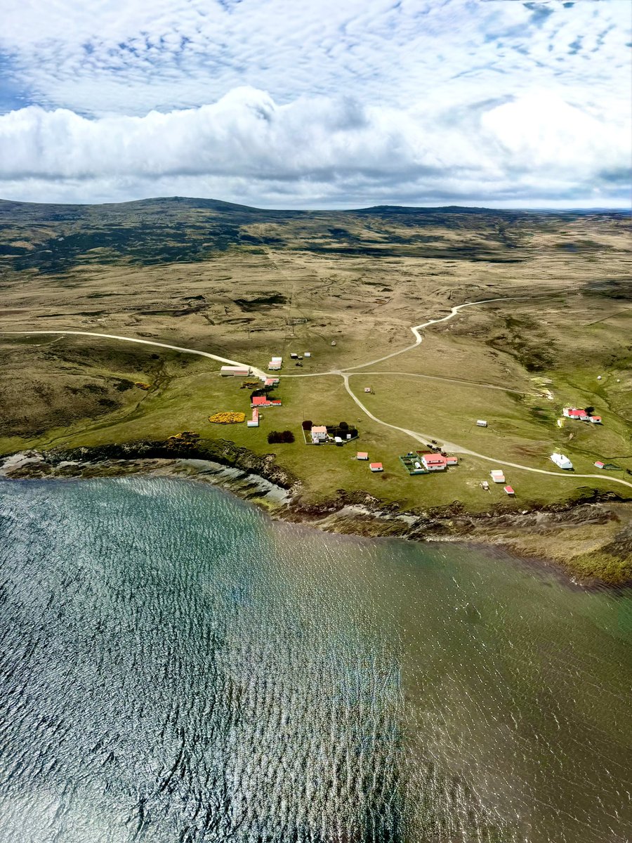 Colin_M_R's tweet photo. Lovely relaxing few days away in beautiful #HillCove #WestFalklands. The weather was kind and thanks to our amazing local airline #FIGAS we got to see even more of these wonderful islands on the way! #Stunning #Beaches #Views https://t.co/cmKZiRptV6