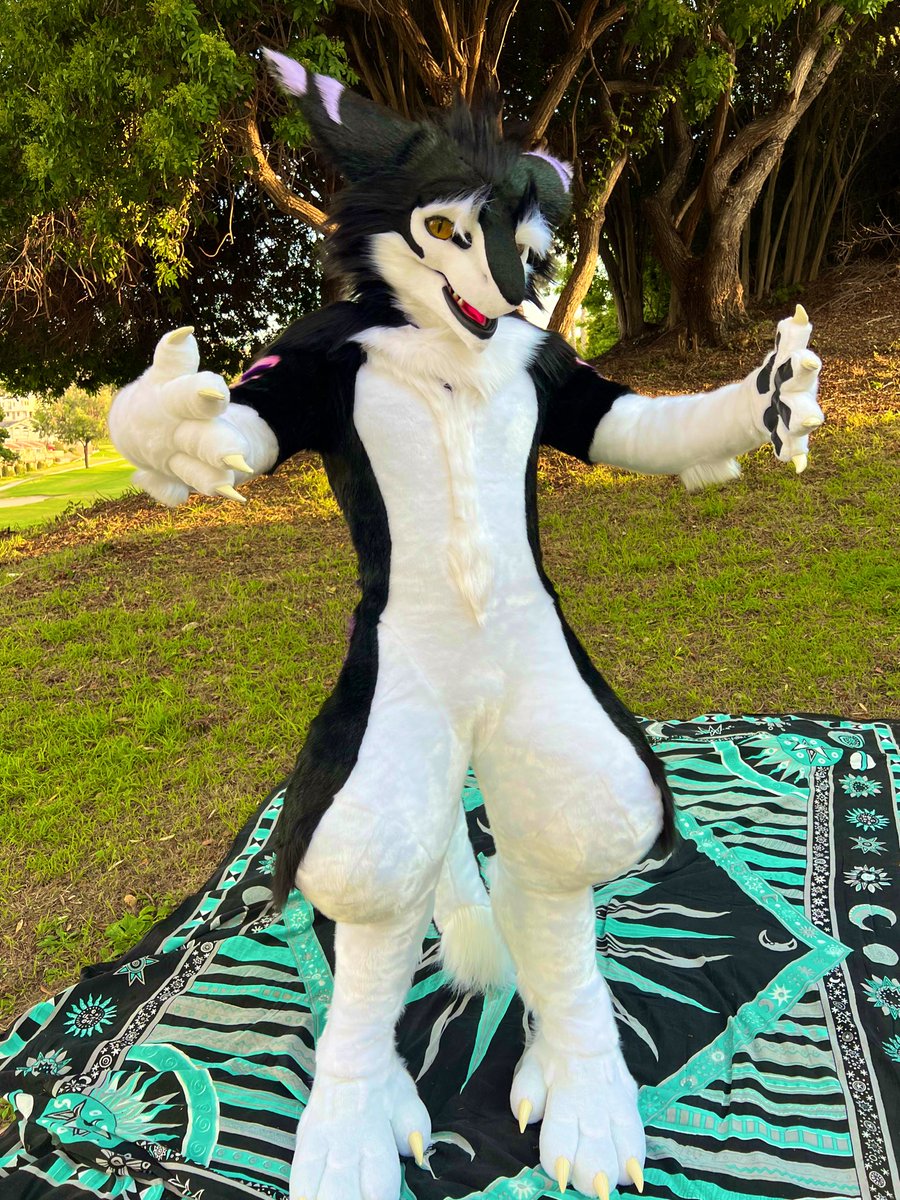 Bodozo 🇵🇸 tweet media