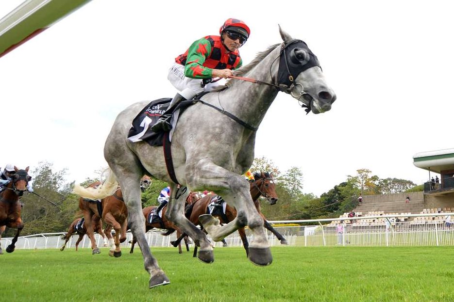 Racing NSW tweet media