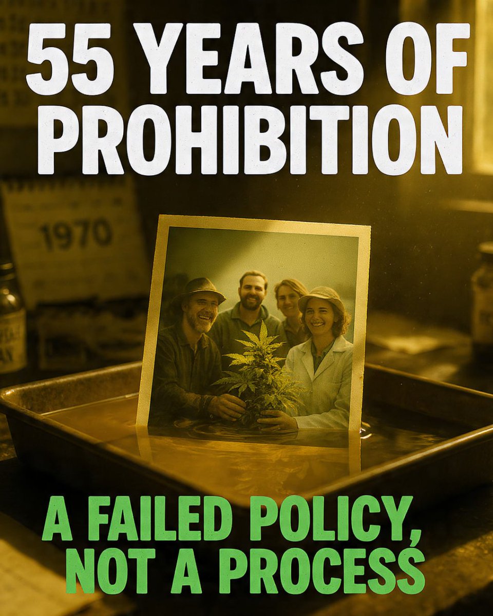 For 55 years, a harmful policy tried to keep the true picture of cannabis submerged in the dark. But we see clearly now: good people, vital plants, and thriving communities were unfairly criminalized. It is time to bring that vision fully to light. We need fairness for all, from