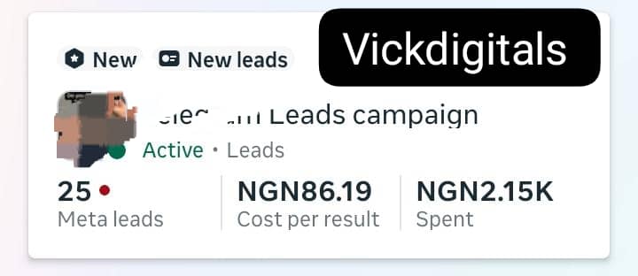 vickdigitals's tweet image. How it&apos;s going from here 

A client&apos;s Ads campaign just started running 

#metaads