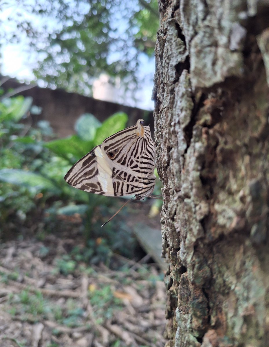 Erick Mar tweet media