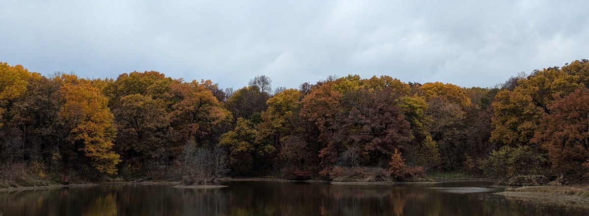 Tom Cudd tweet media