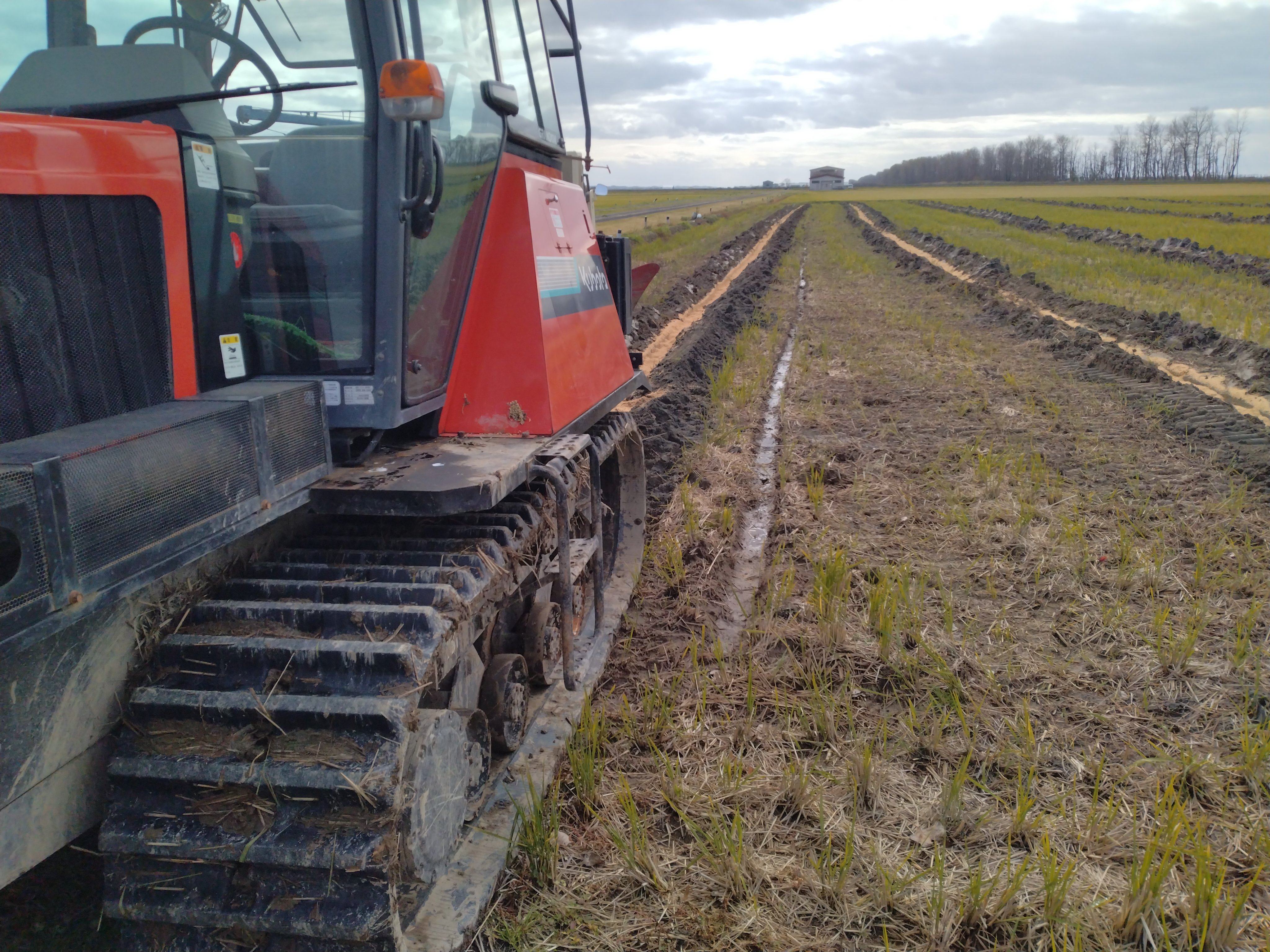 )籾様⑅/20 ☆岩手県令和6年産 自然天日干し籾米20kg 【公式通販】