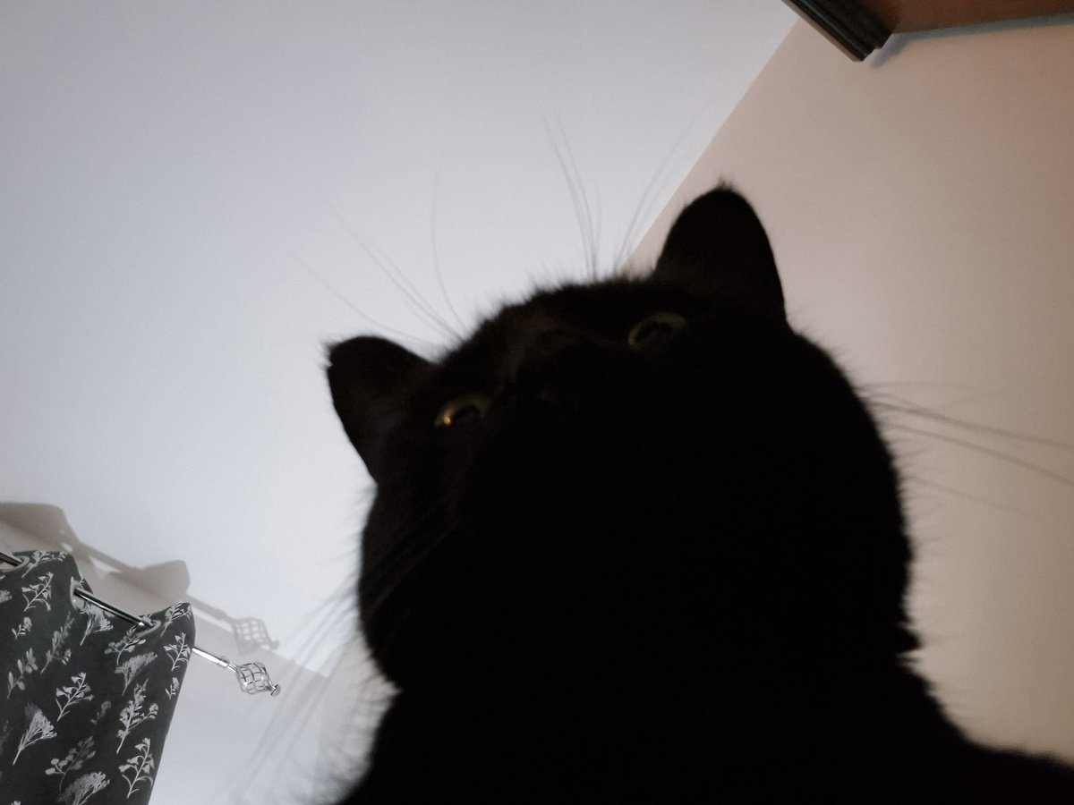 I have one gentle son and one demon