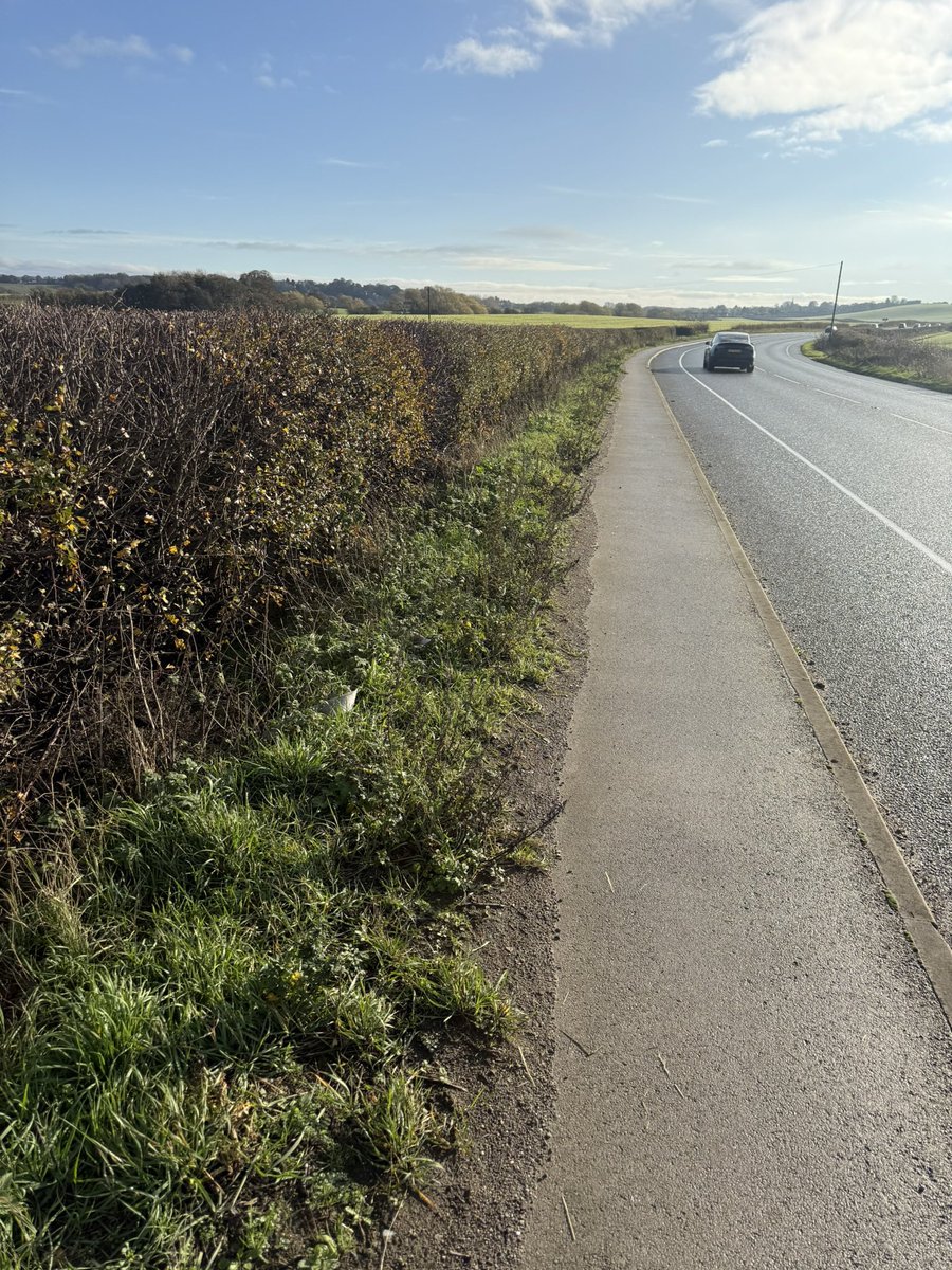 Rape growing along  my walking route A57 between Todwick roundabout and Anston Traffic lights towards Worksop, onbviously seeds dispersed from farms along the road. Tempted to harvest, 100% doesnt belong to anybody