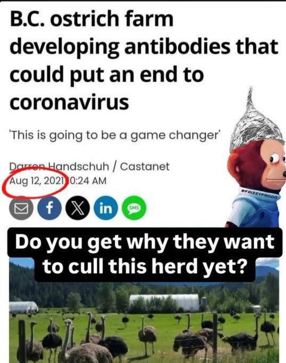 ArrowOfCupidNDW's tweet image. 