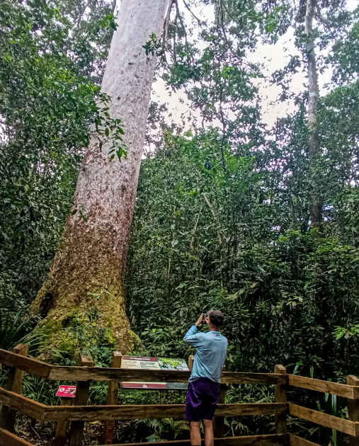 NewCaledonia's tweet photo. ๐ฟ Explore the Wild Beauty of Blue River Provincial Park ๐
Join Etic NC for a 6-8 hour guided adventure and explore New Caledoniaโs most stunning natural landscapes.
๐ Learn more or book here: https://t.co/VrBGXq8Etq
#NewCaledonia #BlueRiverPark #GreatSouth #WildNewCal https://t.co/CGCpicSdNq