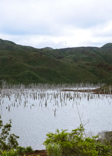 NewCaledonia's tweet photo. ๐ฟ Explore the Wild Beauty of Blue River Provincial Park ๐
Join Etic NC for a 6-8 hour guided adventure and explore New Caledoniaโs most stunning natural landscapes.
๐ Learn more or book here: https://t.co/VrBGXq8Etq
#NewCaledonia #BlueRiverPark #GreatSouth #WildNewCal https://t.co/CGCpicSdNq