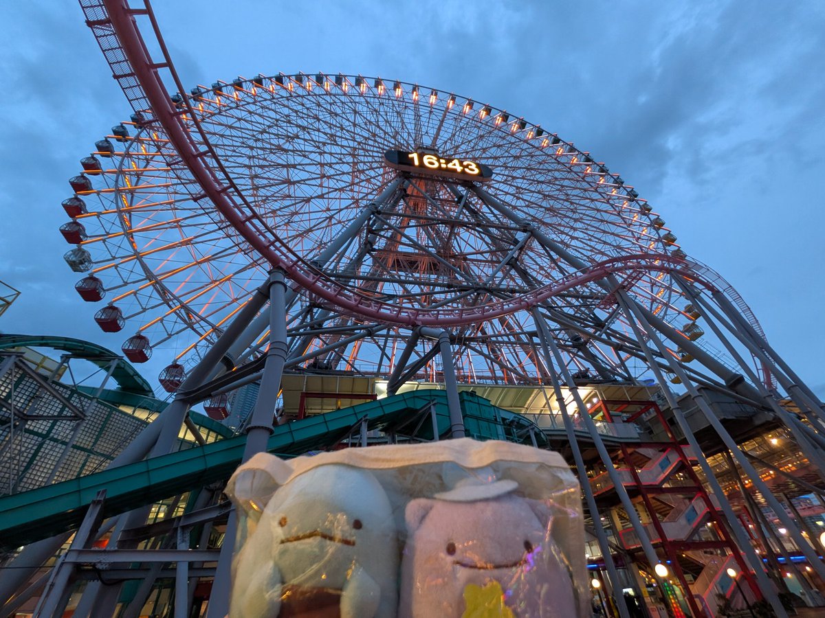 シロくま🐻‍❄️ on X