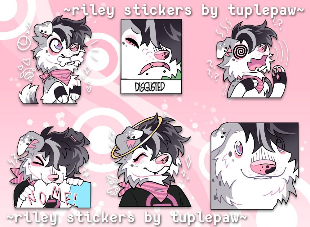 tuplepaw's tweet image. 🐶