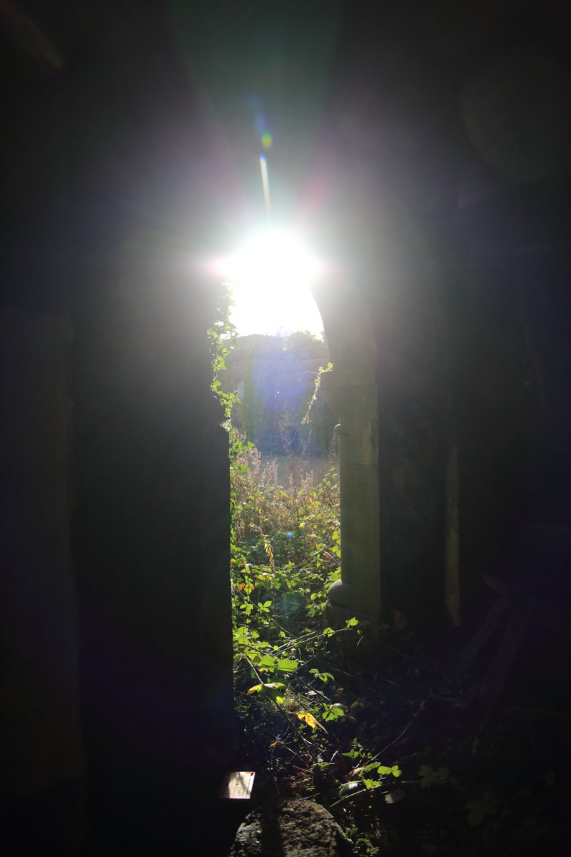 DrDFoster's tweet image. alive in the dream