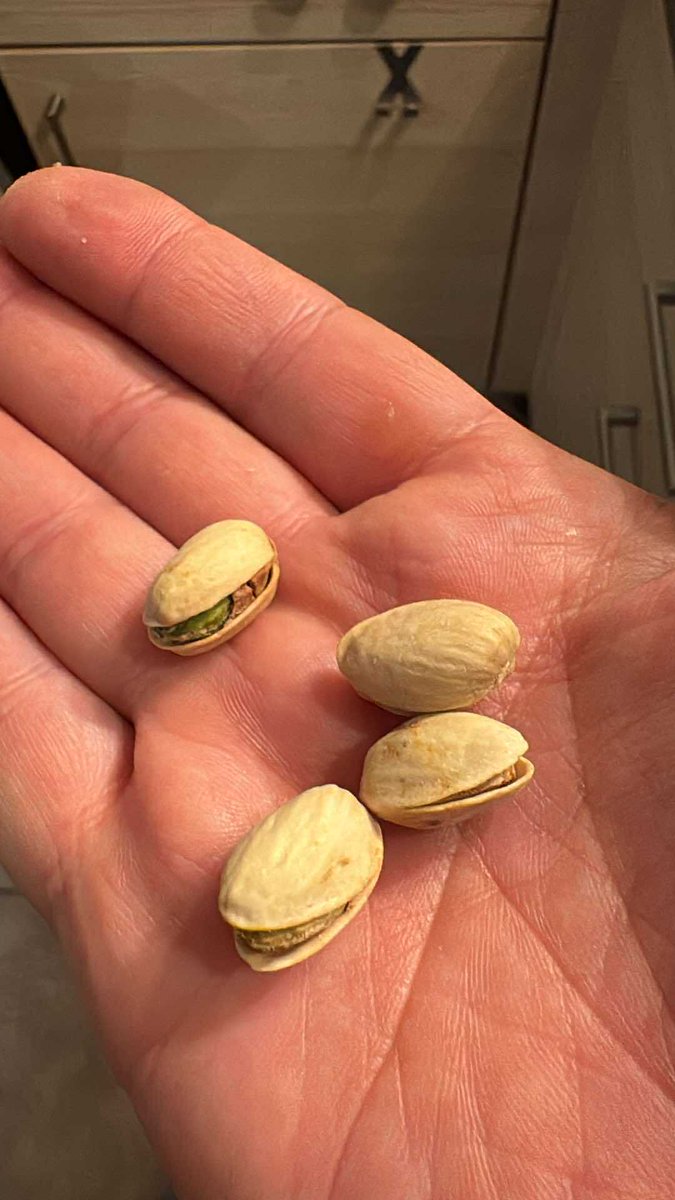 Vincent Flibustier 👽 tweet media