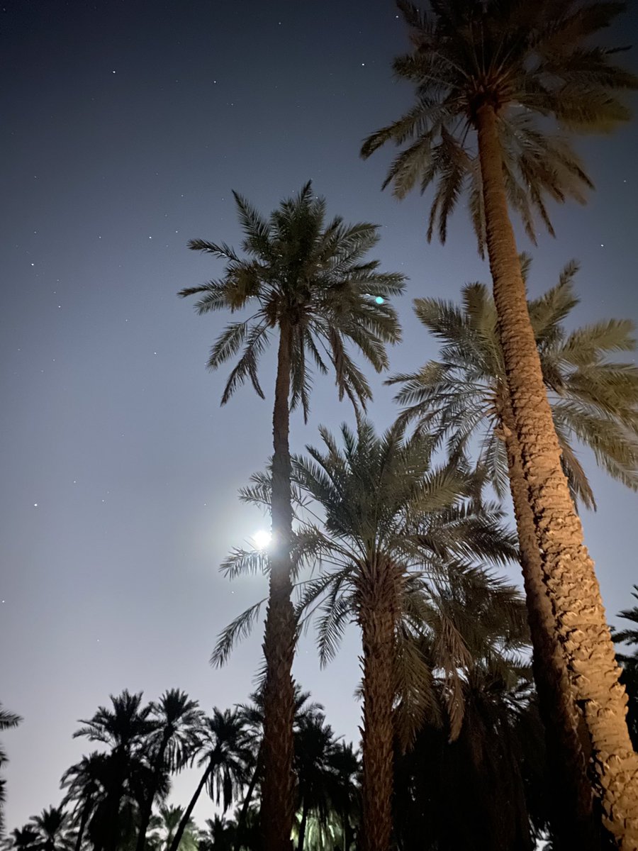 Abdulrhman tweet media