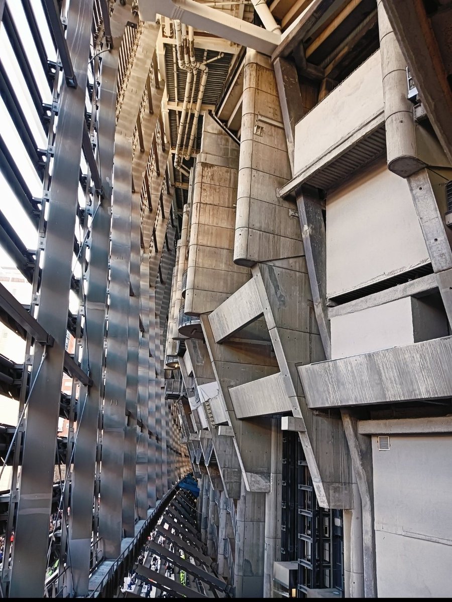 TheMavericK tweet media