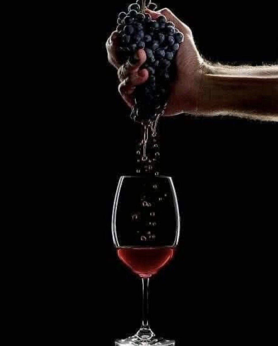 Vino pijte zmerno, da vam
ne pokavri, telesa, imetja, duše in časti….