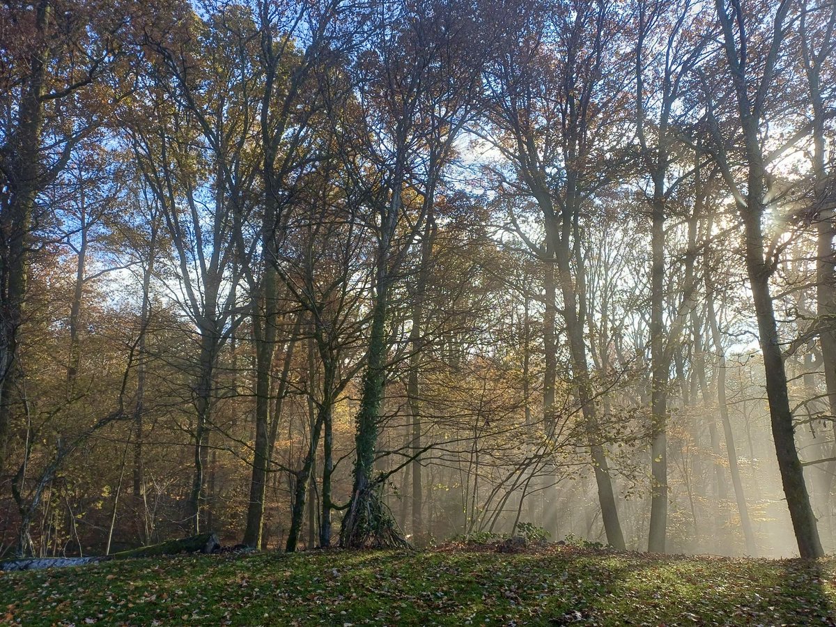 Nadine Algoet tweet media