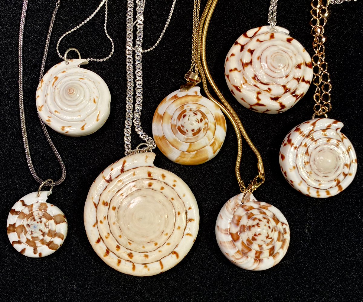 greatstuffuneed's tweet image. Seven Nautilus Sea Shell Pendant Necklaces Reverse Side Embellishments  #Nautilus #SeaShell #Shell #Pendant #Necklaces #beach #vacation #holiday #gifts ebay.com/itm/3362745407…