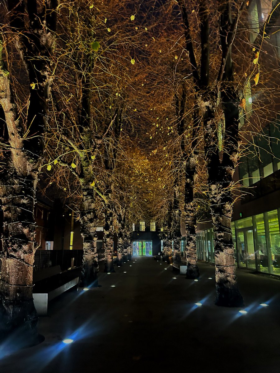 Alison Nulty tweet media