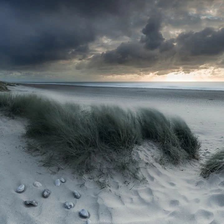 «Μια παραλία ερημική
και ν' απλώναμε εκεί
της ζωής μας το βήμα..»
Λίνα Νικολακοπούλου ("Η σωτηρία της ψυχής")