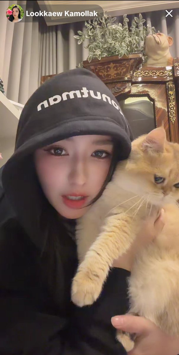 Zema1102's tweet photo. แมงโก้แมน วีล่าาา😺
MY LOVELY LOOKKAEW 09
#lookkaewkamollak https://t.co/tUq3KIBeNL