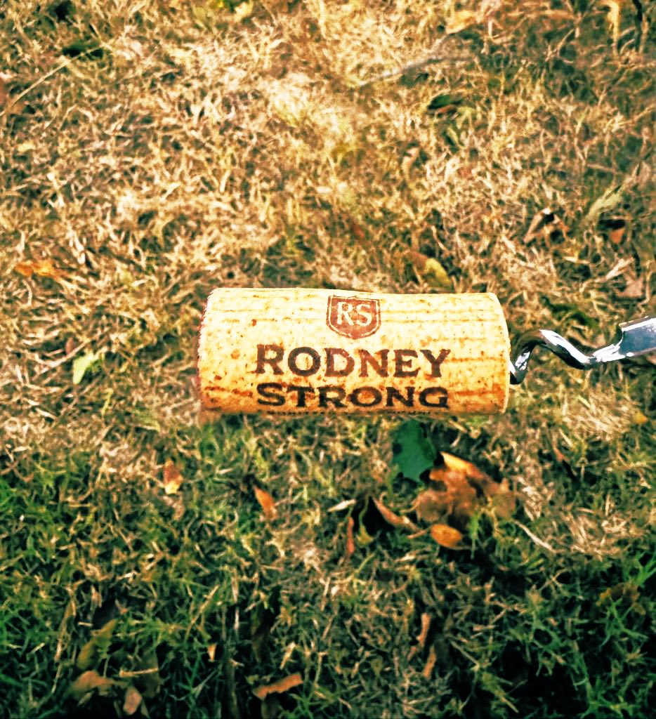 Clear sky 🌌 with Rodney Strong 2021 Cabernet Sauvignon - Alexander Valley, Sonoma County 🇺🇸 wine 🍷 notes 🗒️: dark chocolate truffle topped with sea salt &amp; dusted with mushroom powder #delicious 😋 #Saturday