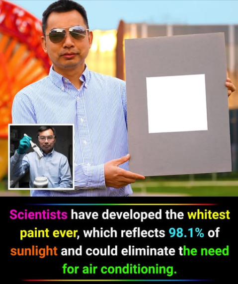 Singapore’s scientists have developed a breakthrough so simple, yet so powerful: a paint that cools buildings without using a single watt of power.

This “smart paint” reflects up to 98% of solar heat, keeping surfaces up to 5°C cooler than ambient air. Made from ceramic