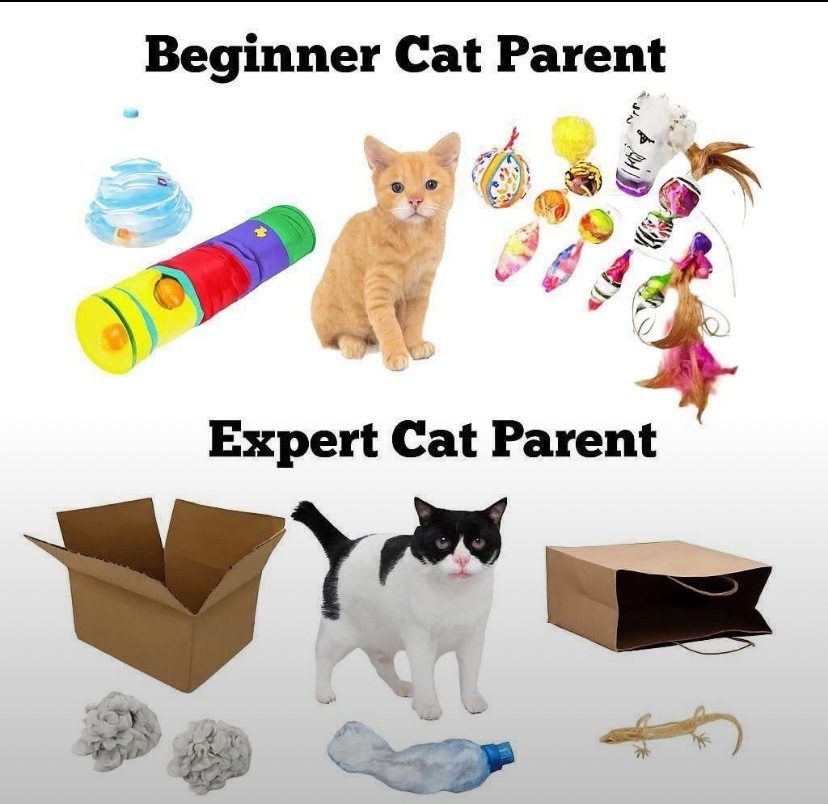 catshealdeprsn's tweet image. 