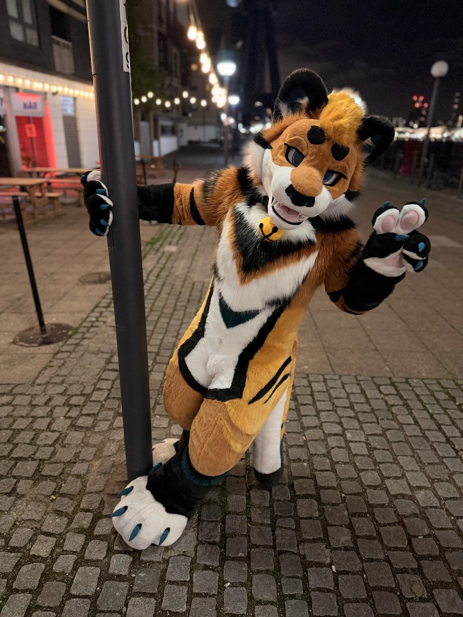 Stupid drunk kitty