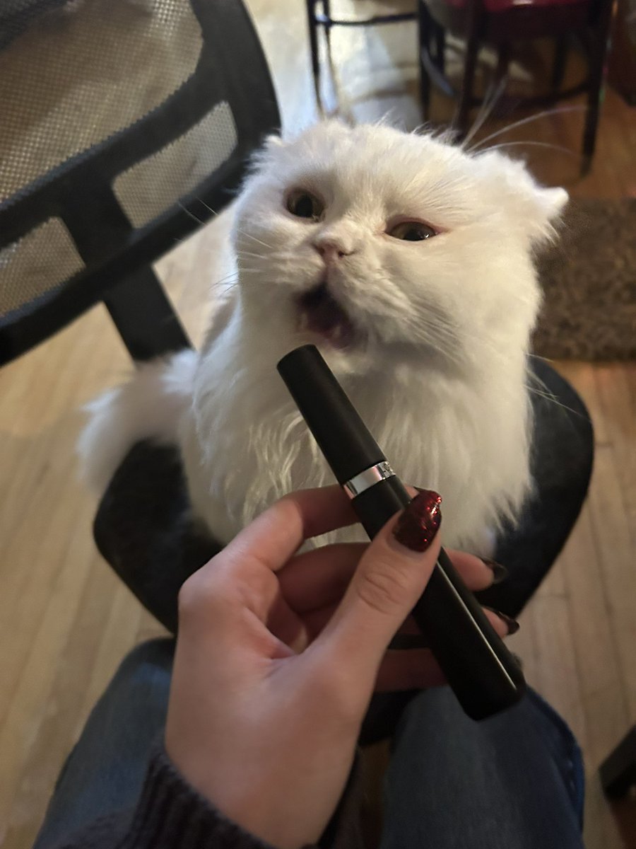 d1v1n3yay's tweet image. me when i see the mascara that makes you scream