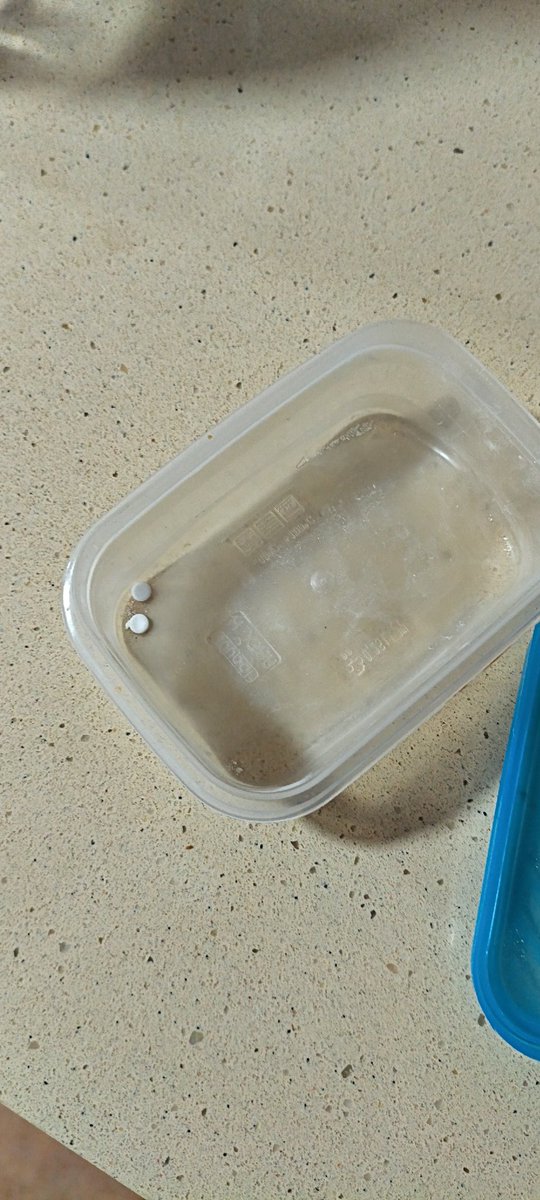 uno_u_dos's tweet image. Cuando se me rompió el tarro de la sacarina parecía que no se iban a acabar nunca, pues al final todo llega