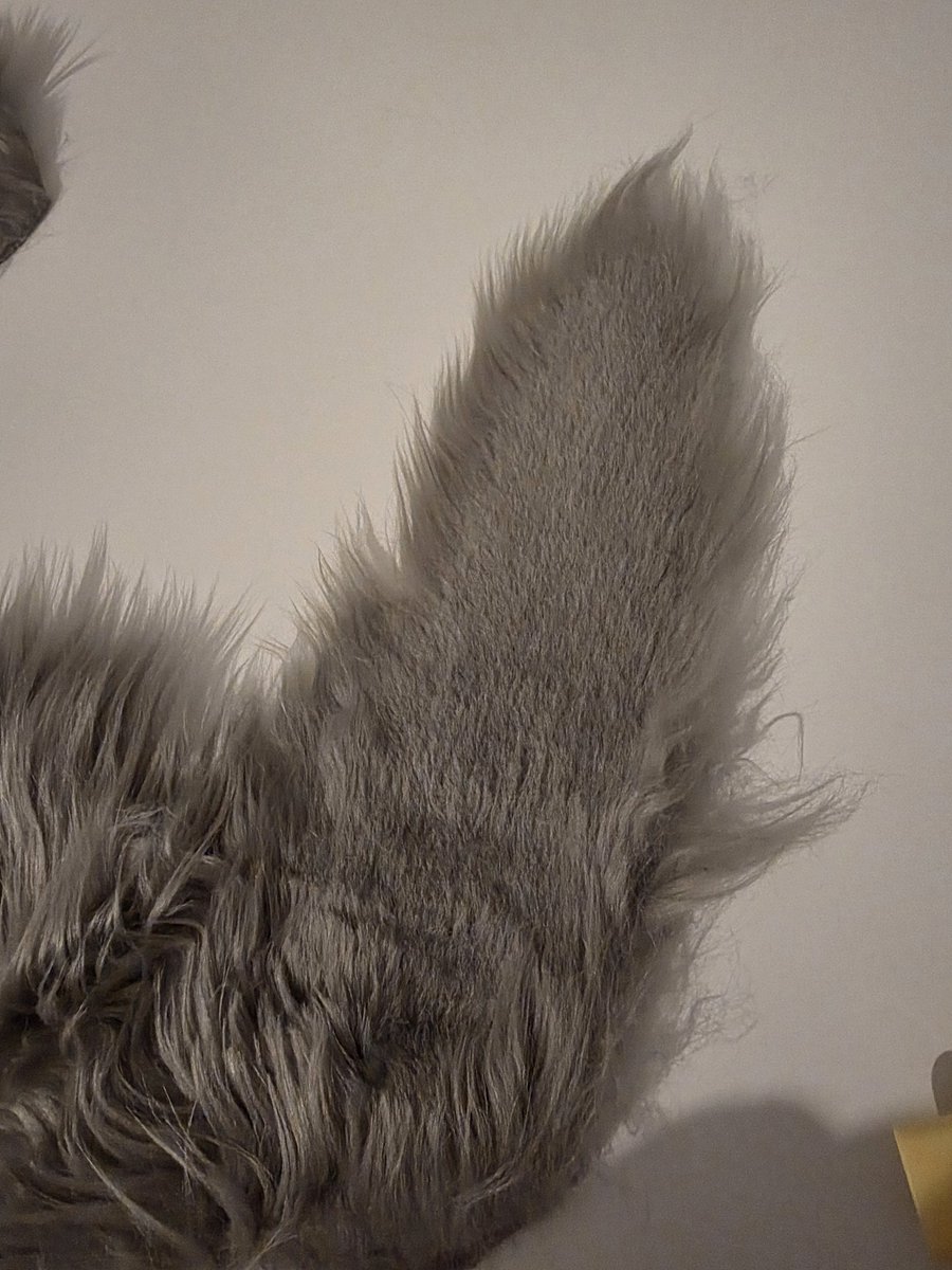 WolfPackWardrobe tweet media