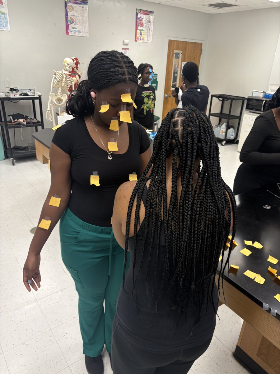 Tav_Williams's tweet image. Human Anatomy Lesson brought to life! At @blanche_ely we are providing our students with instruction that goes beyond the pages of the textbook! Tiger Pride 🐅🧡💚 @BCPSNorthRegion @Ms_JenLet