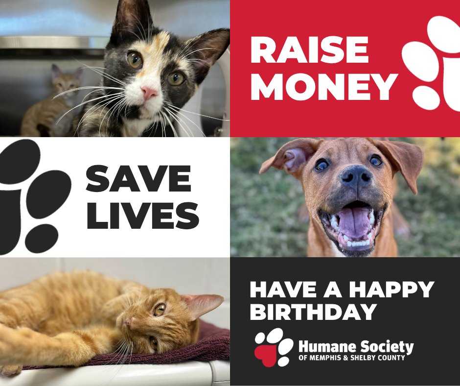 Have a birthday in November? Get your friends and family involved by hosting a Facebook fundraiser with the Humane Society as your nonprofit of choice. 🐾❤️