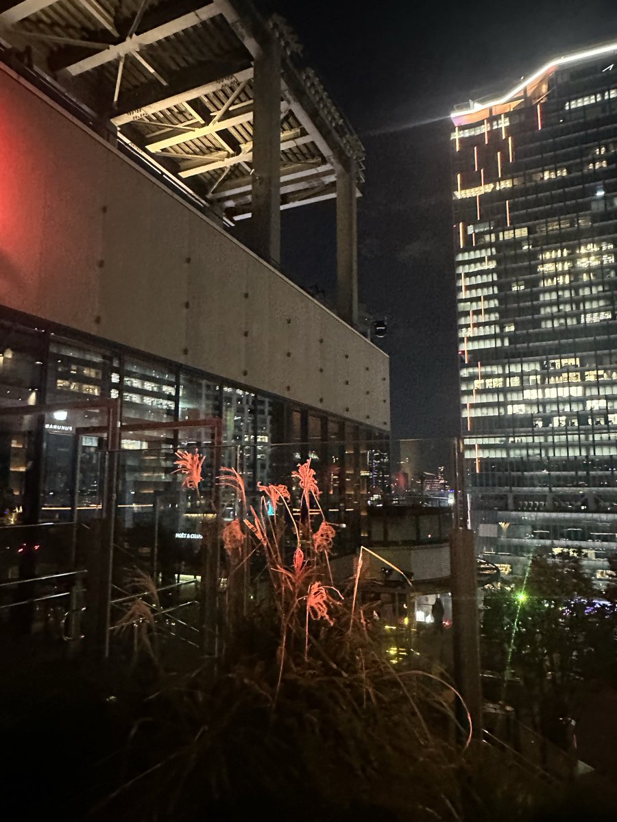 Shibuya RCS
<a href="/GeekOutKK/">GeekOut K.K.</a> 

<a href="/Roblox/">Roblox</a>