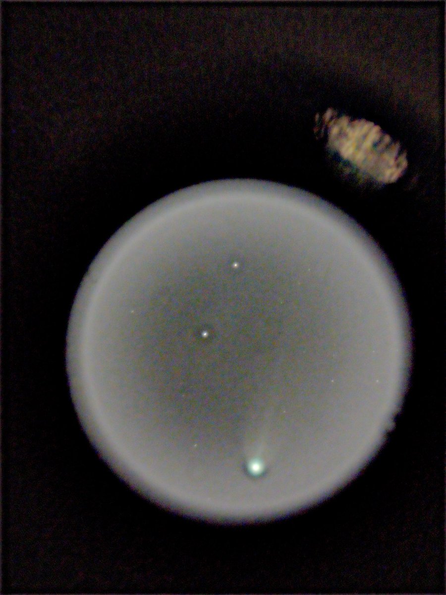 MrJupiterSaturn's tweet image. As of now, these are my best images of Comet Lemmon and #Comet Swan. They were absolutely spectacular comets and I hope to see more comets like them. 
⁦@rami_astro⁩ 
⁦@KevinAstrokev⁩ 
⁦@toro_an⁩ 
⁦@DavidBflower⁩ 
#Astronomy
#Astrophotography
#CometLemmon