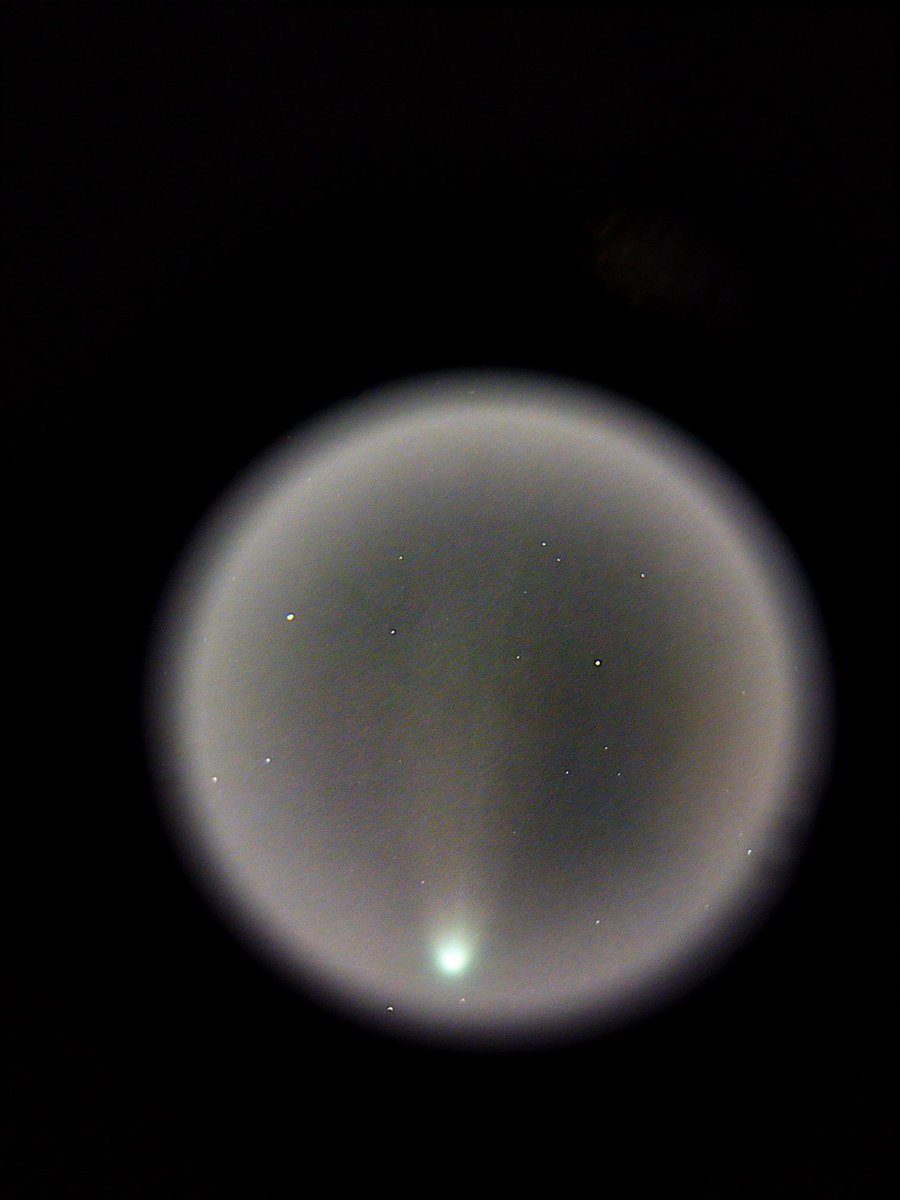 MrJupiterSaturn's tweet image. As of now, these are my best images of Comet Lemmon and #Comet Swan. They were absolutely spectacular comets and I hope to see more comets like them. 
⁦@rami_astro⁩ 
⁦@KevinAstrokev⁩ 
⁦@toro_an⁩ 
⁦@DavidBflower⁩ 
#Astronomy
#Astrophotography
#CometLemmon